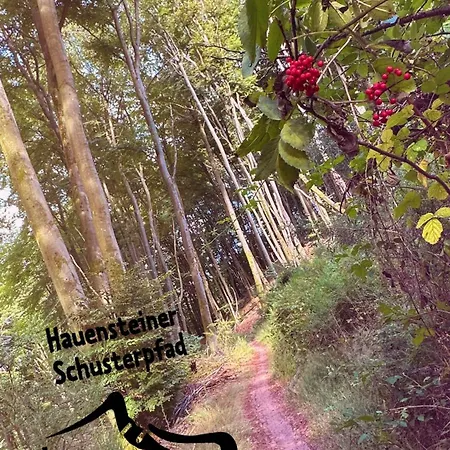 Heimatliebe Fuenf *